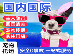 郴州北湖机场空运国际宠物托运 【国